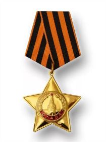 орден Славы 1-й степени