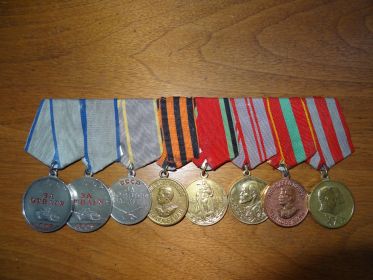 Боевые награды: 2 медали За Отвагу, медаль За боевые заслуги, а также за Победу над Германией в Великой Отечественной войне 1941-45 гг., и др.