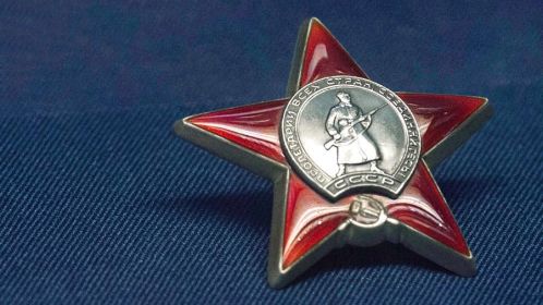 медаль "За отвагу", орден Отечественной войны I и II степени, орден "Красной звезды"