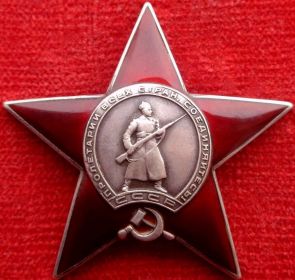 красная звезда, за боевые заслуги, за отвагу, за взятие Берлина, орден отечественной войны