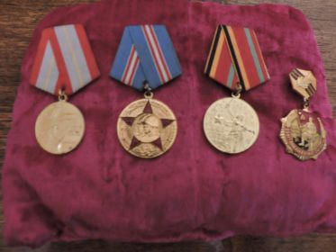 Медали "За боевые заслуги", " За Победу над Германией"