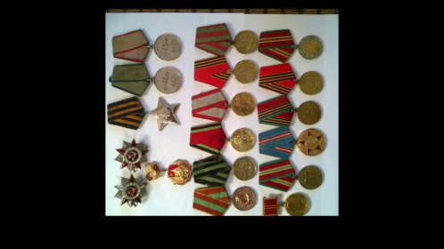 Орден Славы 3 степени, Орден Славы 2 степени, Два Ордена Великой Отечественной войны, две медали за Отвагу, Медаль за взятие Кенигсберга.