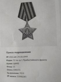 Орден славы третьей степени. Медаль за отвагу.