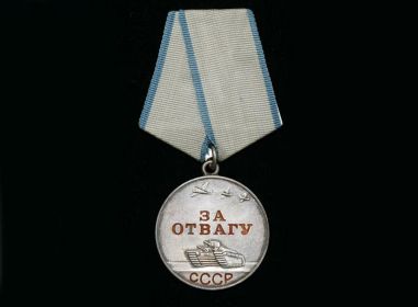 Правами военкома Мишкинского района подполковника Глушко 22.12.1945г. представлен к медали «За отвагу».