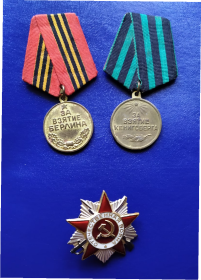 медаль "За взятие Берлина", медаль "За взятие Кенигсберга", медаль "За победу над Германией", Орден Отечественной войны 2-ой степени.