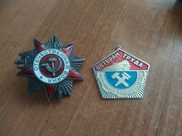 Орден Великой Отечественной Войны ,Ветеран Труда