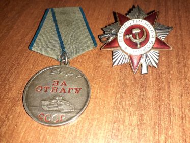 Орден Отечественной войны II степени, медаль «За отвагу».