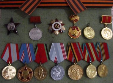 орден красной звезды, орден Отечественной войны 1 степени, медаль за боевые заслуги, медаль ветерана труда и другие