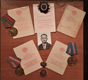 Медаль "За Победу над Японией" (утрачена); Орден Отечественной войны 2-й степени; Юбилейная медаль "25-летие Победы в ВОВ"