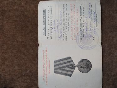 Медаль за победу над Германией