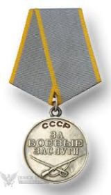 Товарищ Пахомов А.В. достоин правительственной награды и был награждён 14 июня 1945 года медалью «За боевые заслуги»