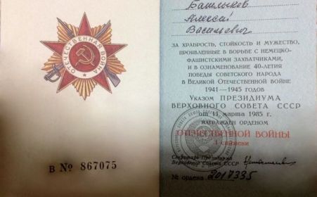 Орден Великой Отечественной войны  1 степени  ( В № 867075 )