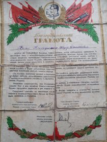 2 медали и благодарственная грамота