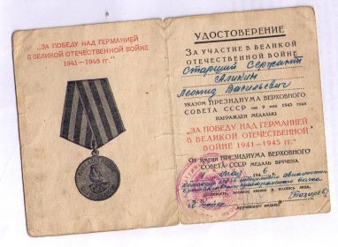 медаль «За победу над Германией в ВОВ» 1941-1945 гг.