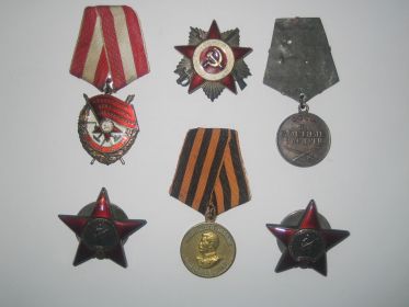 Награжден: медалью «За боевые заслуги», медалью «За победу над Германией в Великой Отечественной войне», орденом Красного Знамени, двумя орденами Красной Звезды...