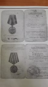 Медаль "За взятие Будапешта"; медаль "За победу над Германией в Великой Отечественной войне"