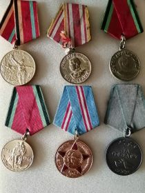 Медалью  «За отвагу», Медалью «За Победу над Германией в Великой Отечественной войне 1941-1945 гг», Медалью «За Победу над Японией»,