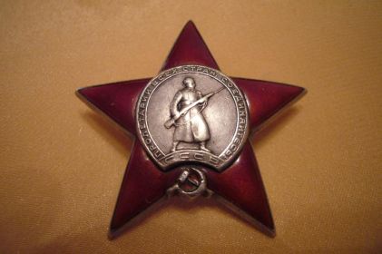 Медаль «За боевые заслуги», Орден "Красной звезды"