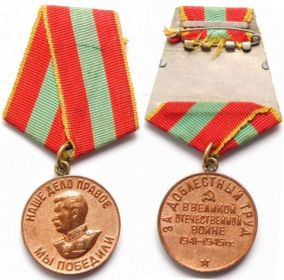 Награжден медалью "За доблестный труд в Великой Отечественной войне 1941-1945 г.г." 30 ноября 1946 года.