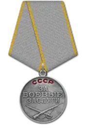 17 апреля  1943 года посмертно награжден  Медалью  "За боевые заслуги"