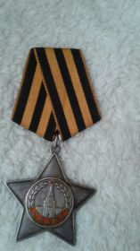 Орден славы 3 степени      794959