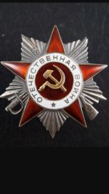 Два ордена ,,Красной звёзды,,  Орден Отечественной Войны 2-й степени. Юбилейные медали....