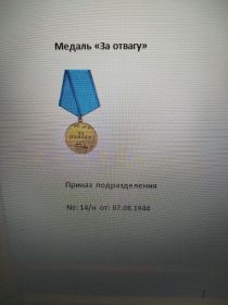 Медаль за отвагу, орден Отечественной войны II ст. , медаль за победу над Германией