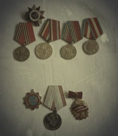 орден "Красная Звезда",медаль "За отвагу",медаль "За Победу над Германией" медаль "За оборону Москвы"