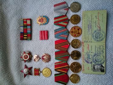 медаль "За боевые заслуги", орден Отечественной Войны 1-й степени