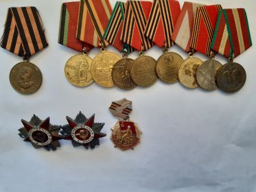 Ордена Великой Отечественной войны 1ой и 2ой степени, памятные медали в честь победы на Германией 20, 25, 30, 40, 50, 60, 70 лет
