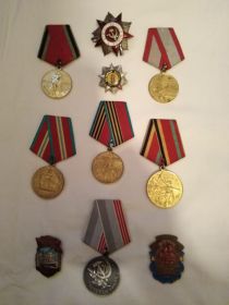 Орден «Отечественная война 1 степени», орден «Ветерана войны, 6  медалей, в том числе «за взятие Берлина»