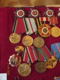 Три ордена  Отечественной войны 1-й и 2-й степени, медалью "за победу над Германий"