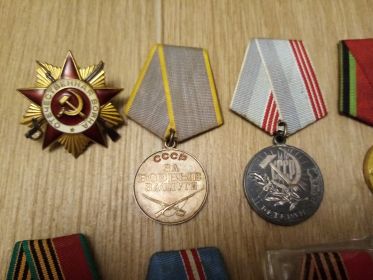 Орден Отечественной войны I степени , Медаль "За Боевые Заслуги".