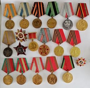 награжден: Медалью «За отвагу»1943 год, Медалью «За взятие Вены» 13 апреля 1945 год, Медалью «За освобождение Белграда» 20 октября 1944 год, Медалью «За взятие...