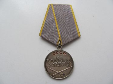 Медаль за БОЕВЫЕ ЗАСЛУГИ