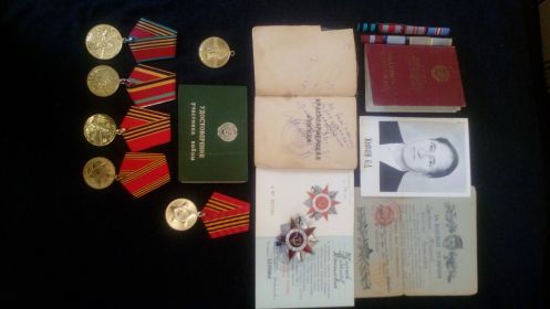 Орден красной звезды, медаль за отвагу, медаль за боевые заслуги, медаль "Отличник разведроты", медаль "ЗА ПОБЕДУ", медаль за взятие Кенигсберга