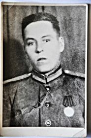 Медаль за Победу над Германией