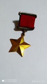 медаль "Золотая Звезда"