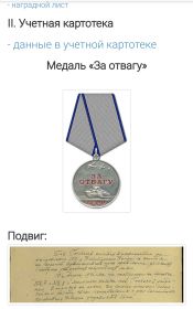 Медали:"За Отвагу', "За победу над Германией 1941-1945 гг., орден Отечественной войны 2 степени