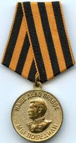 Медаль"ЗА победу над Германией"