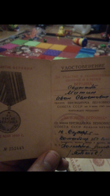 За взятие Берлина за номером 252445