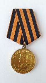 медаль "За Победу над Германией в Великой Отечественной войне 1941-1945 гг."