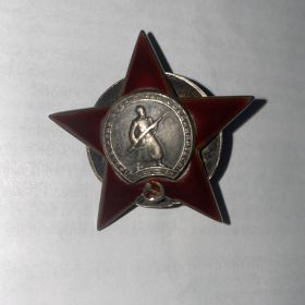 Орден Красной Звёзды, Медаль за оборону Сталинграда, Орден Отечественной войны 2-ой степени, медаль за победу в ВОВ