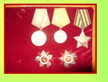 Орден Славы 3 степени; 2  Ордена Красной Звезы; Медаль "За Боевые Заслуги"; медаль " За Отвагу"
