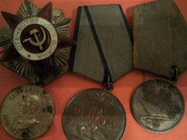 Медали за  победу над Германией, за отвагу, за боевые заслуги, орден Отечественной войны 2 степени.
