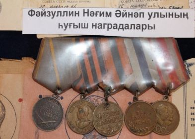 Медали «За боевые заслуги», «За взятие Будапешта», «За взятие Вены»,«За победу над Германией в Великой Отечественной войне 1941-1945гг.».