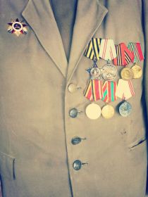 Медаль за Отвагу, Медалью за Победу над Германией, Орден Славы 3 степени, Орден Отечественной Войны 1 степени