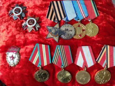 Орден Отечественная война, Медаль За Отвагу, За взятие Кенигсберга, За Победу над Германией, Славы III степени