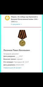 Медаль "За победу над Германией"