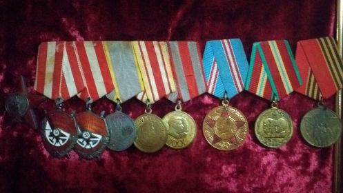 2 ордена "Боевого красного знамени", орден"красной звезды", медаль"За боевые заслуги", "За победу над Японией"